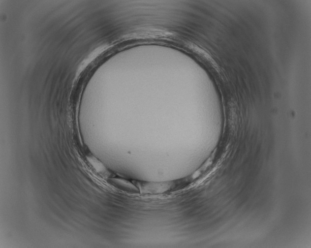 X0000067831114200605111610