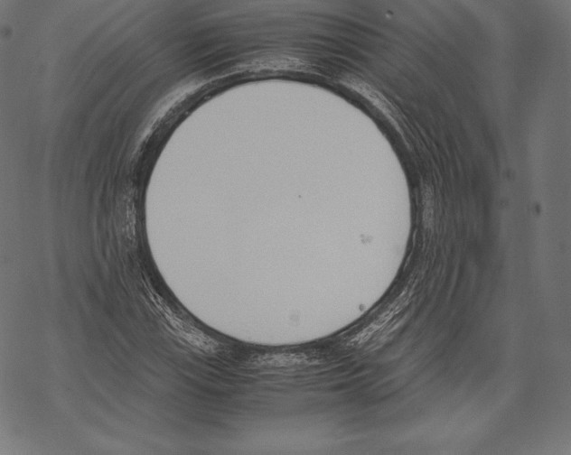 X0000067831115200605111610