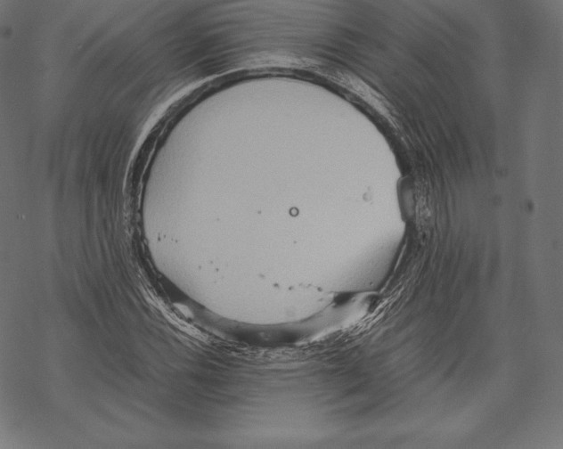 X0000067831116200605111610