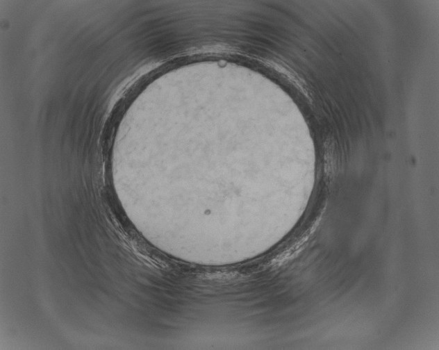 X0000067831117200605111610