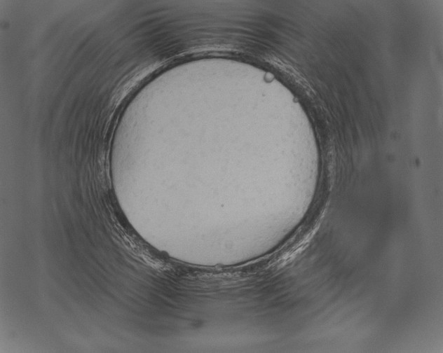 X0000067831121200605111610