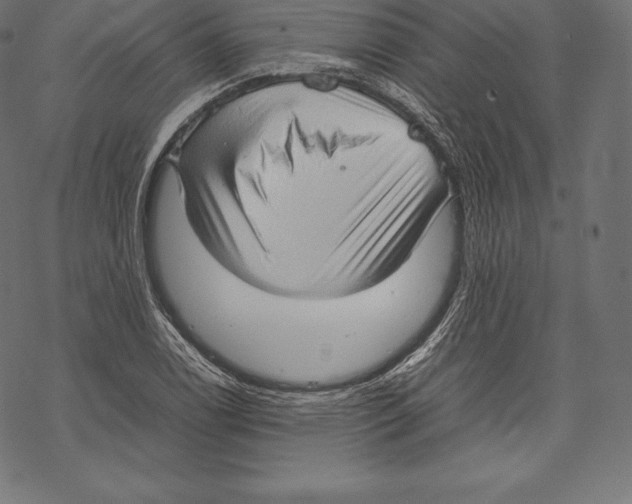 X0000067831122200605111610