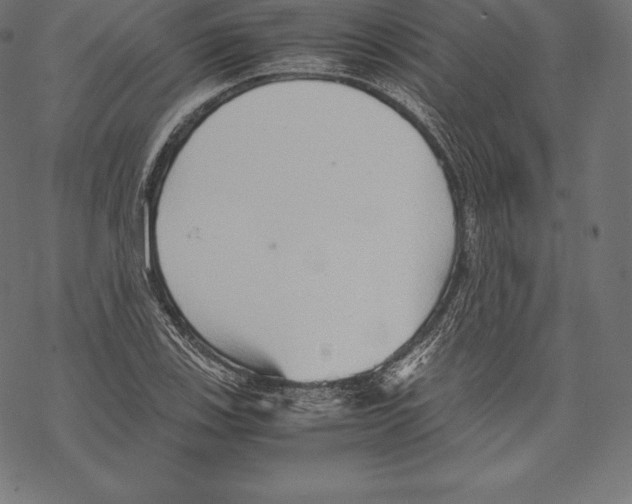 X0000067831123200605111610