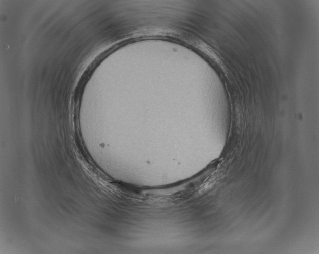 X0000067831124200605111610