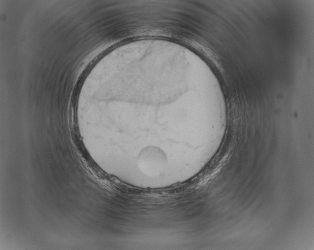 X0000067831125200605111610