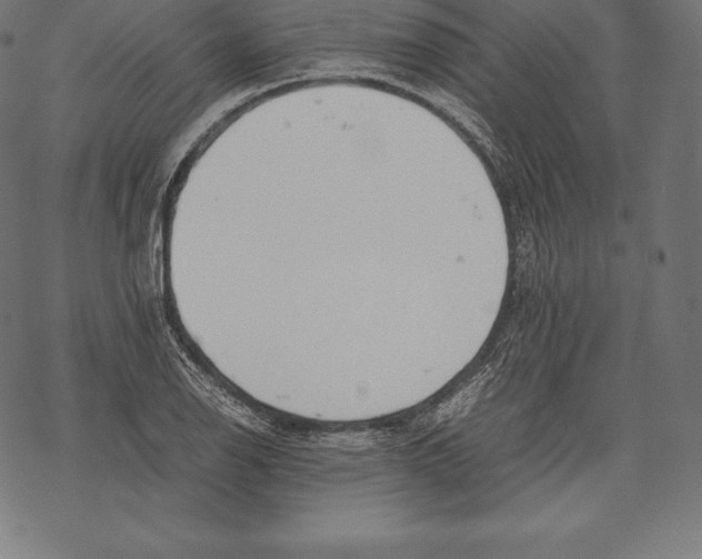 X0000067831126200605111610