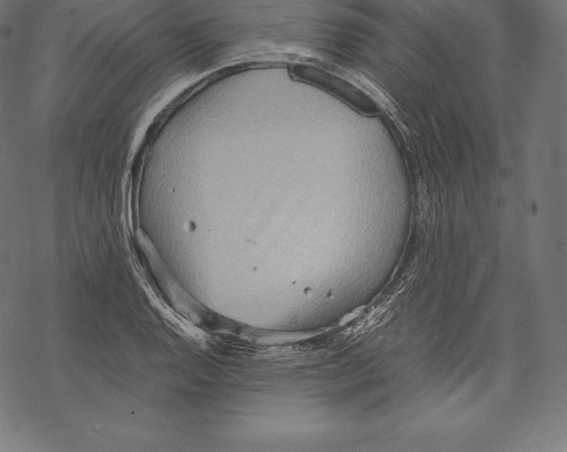 X0000067831128200605111610