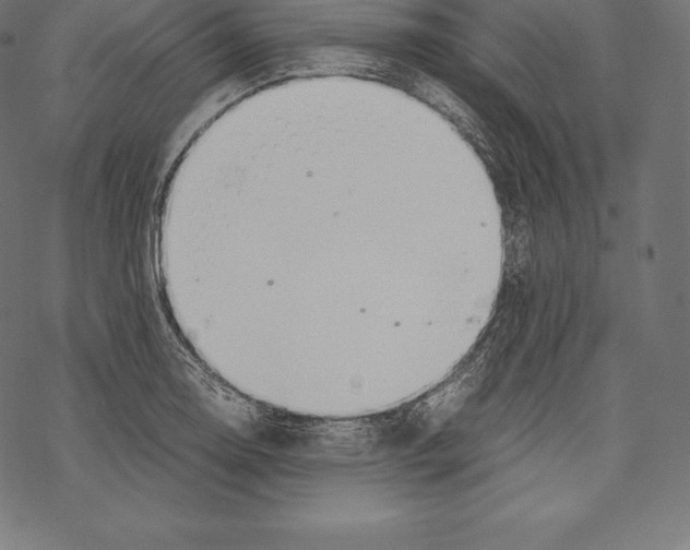 X0000067831130200605111610