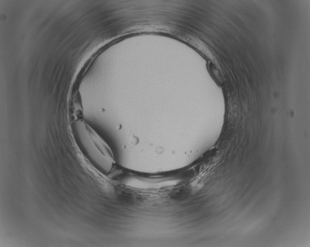 X0000067831132200605111610