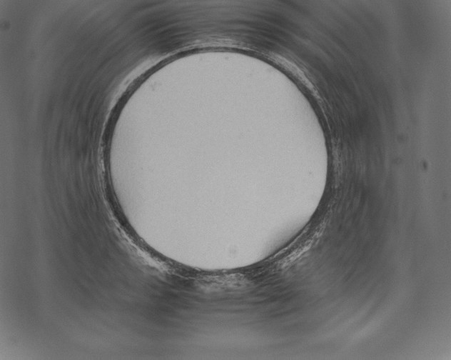 X0000067831133200605111610