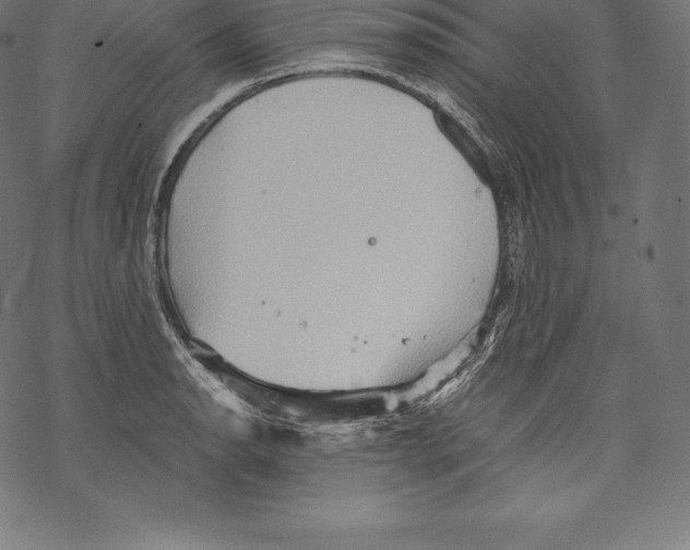 X0000067831134200605111610