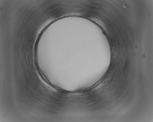 X0000067831135200605111610