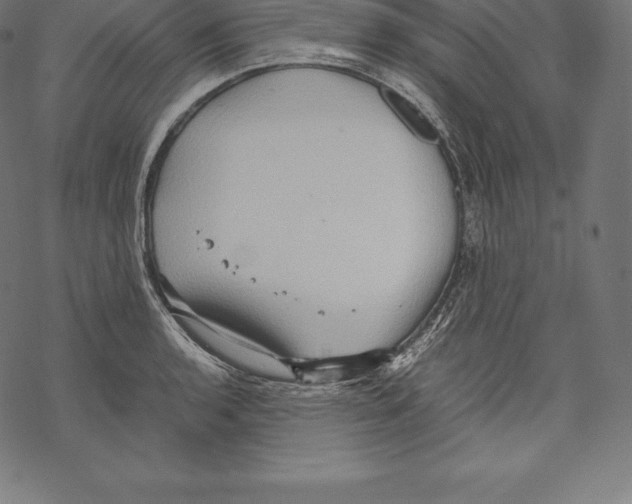 X0000067831136200605111610