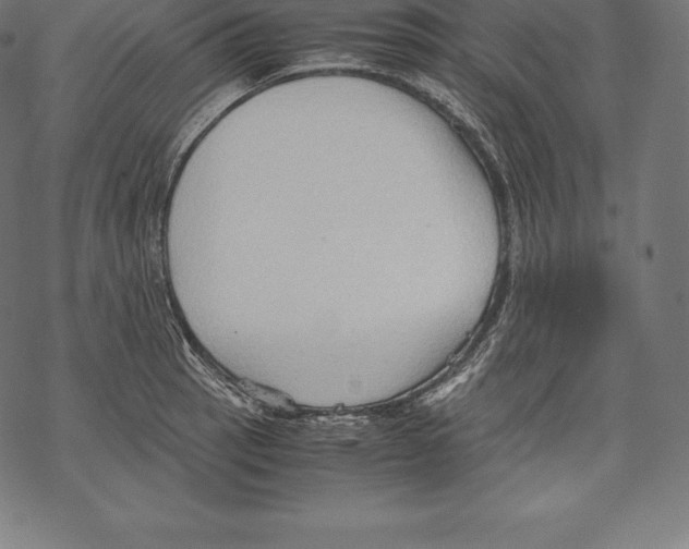 X0000067831137200605111610