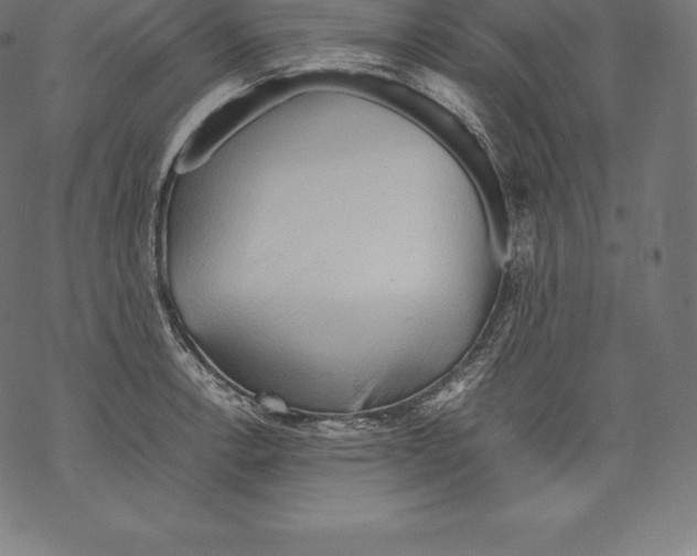 X0000067831138200605111610