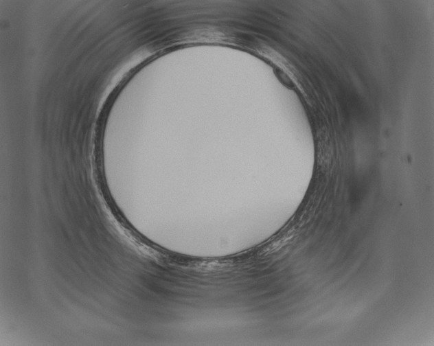 X0000067831139200605111610