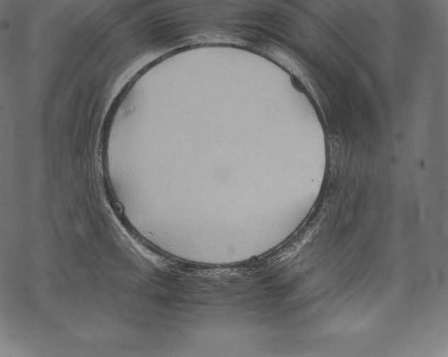 X0000067831141200605111610