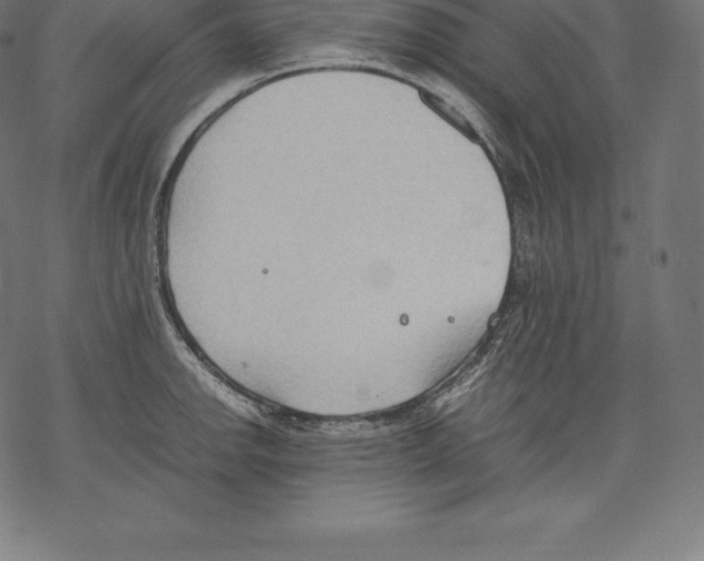 X0000067831142200605111610