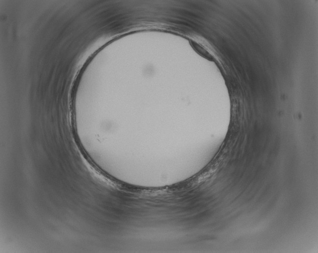 X0000067831143200605111610