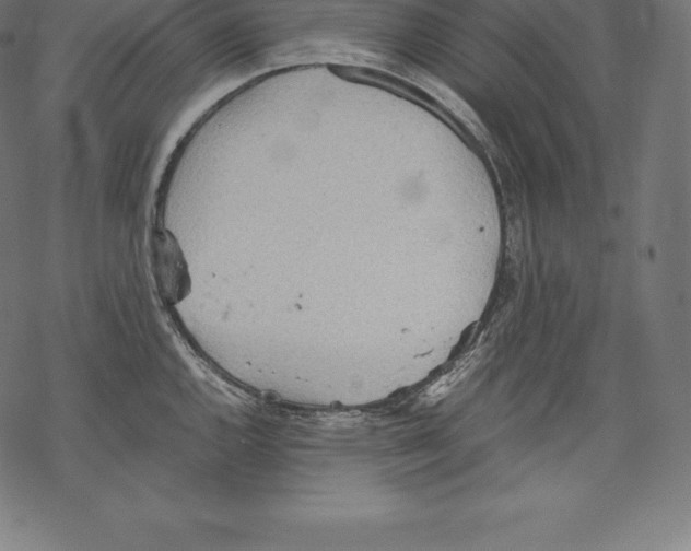 X0000067831144200605111610