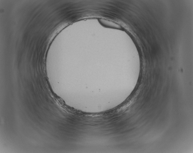 X0000067831145200605111610