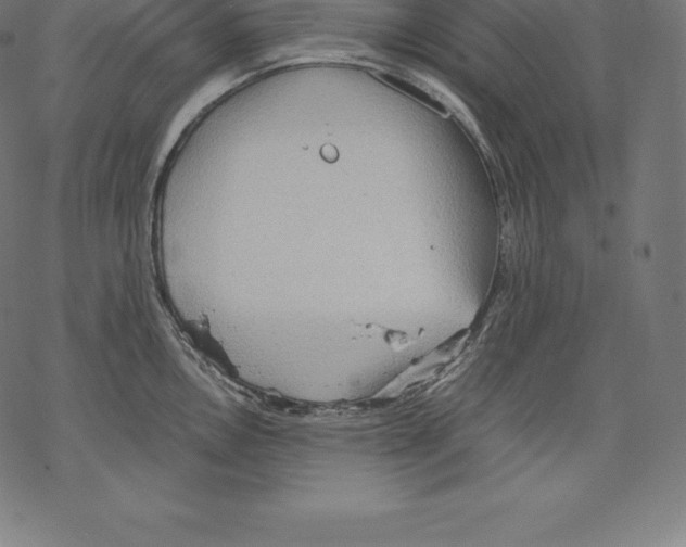 X0000067831146200605111610