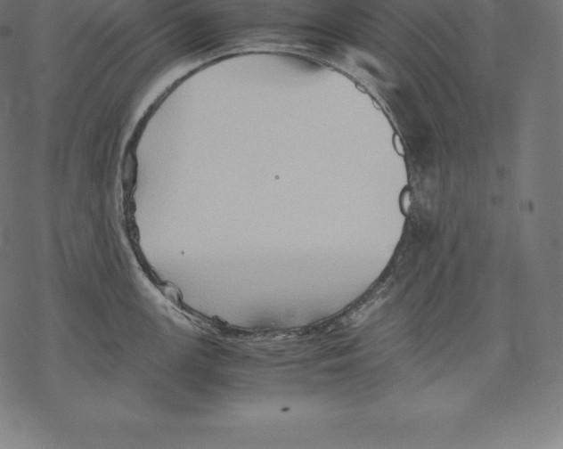 X0000067831147200605111610