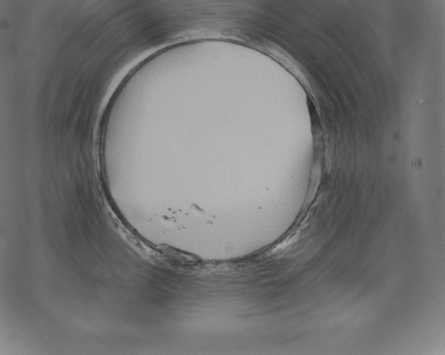 X0000067831148200605111610