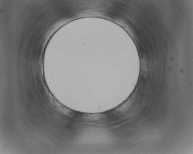 X0000067831150200605111610