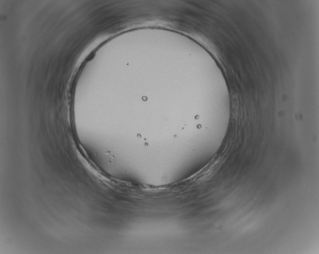 X0000067831151200605111610