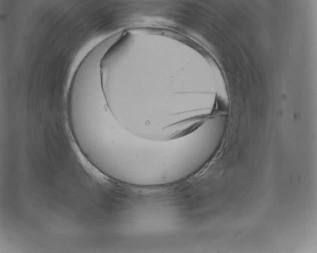 X0000067831152200605111610