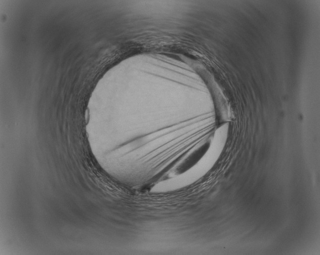 X0000067831153200605111610