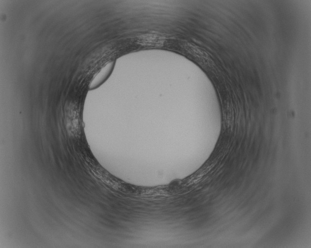 X0000067831154200605111610