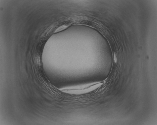 X0000067831155200605111610