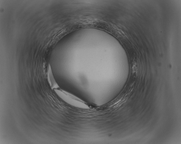 X0000067831156200605111610