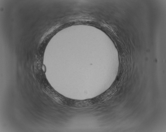 X0000067831159200605111610