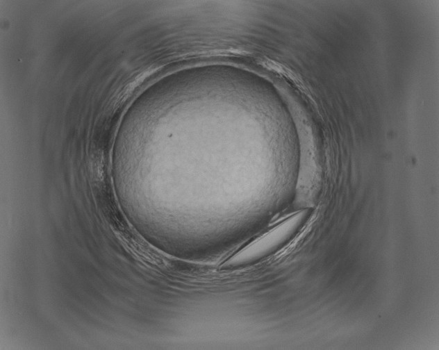 X0000067831161200605111609