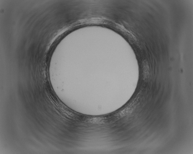 X0000067831166200605111609