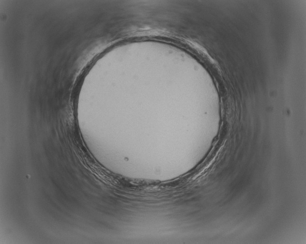 X0000067831167200605111609