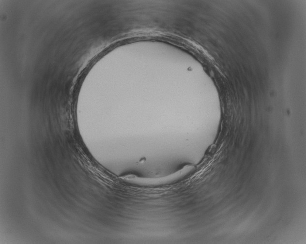 X0000067831168200605111609