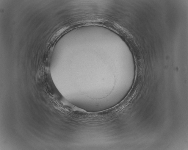 X0000067831169200605111609