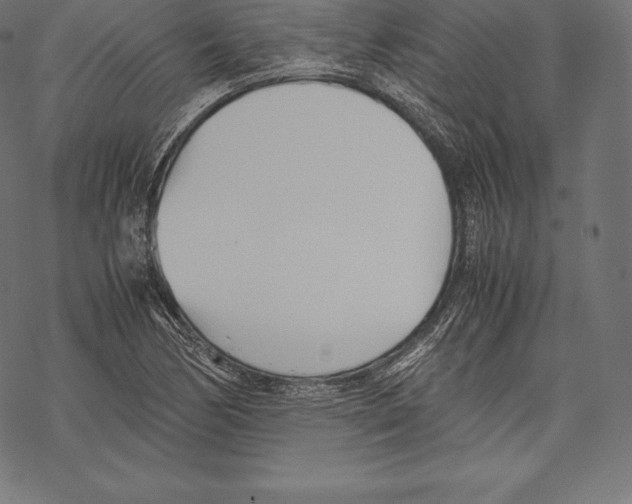 X0000067831170200605111609