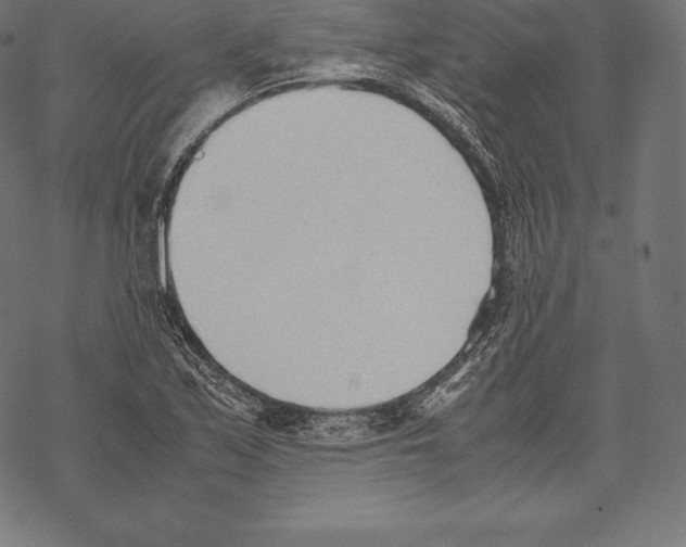 X0000067831171200605111609