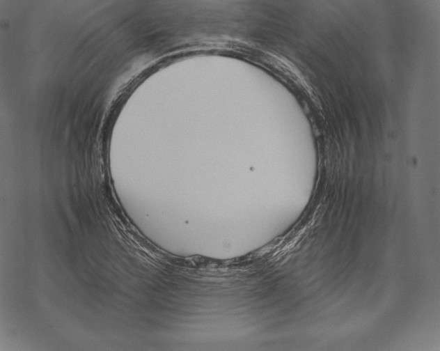 X0000067831172200605111609