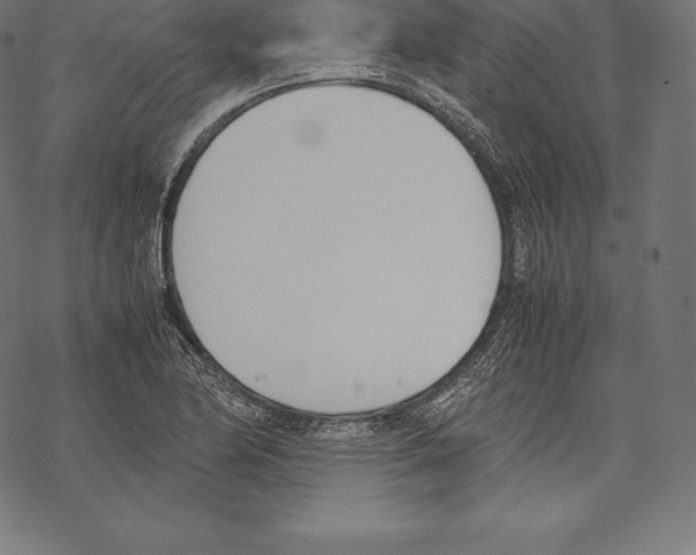 X0000067831174200605111609