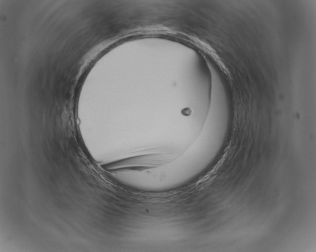 X0000067831176200605111609