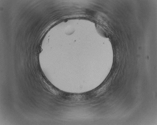 X0000067831177200605111609