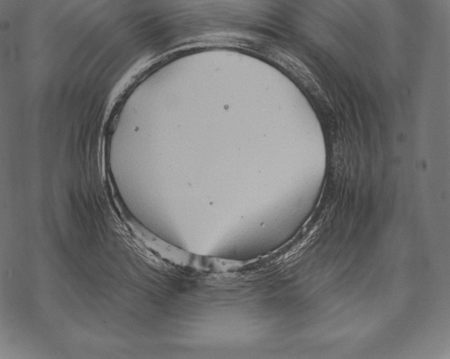 X0000067831180200605111609