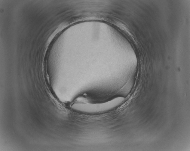 X0000067831181200605111609