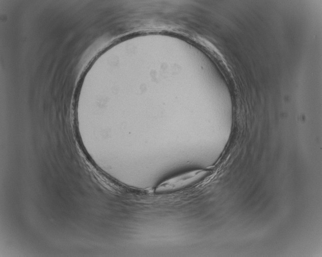 X0000067831183200605111609